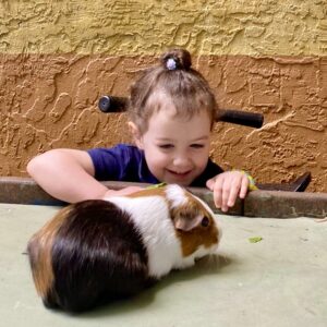 montessori pets for learning