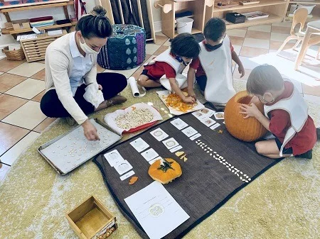 Montessori primary learning