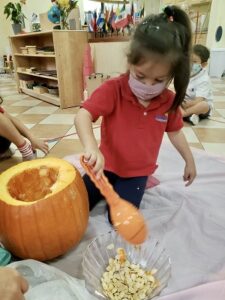 Halloween pumpkin making