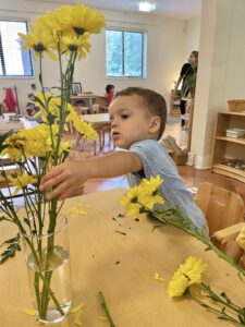 flower arranging Montessori school