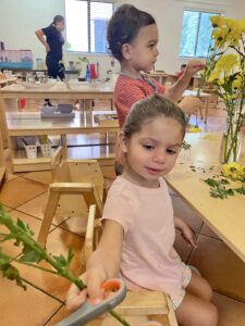 Montessori schools teach flower arranging
